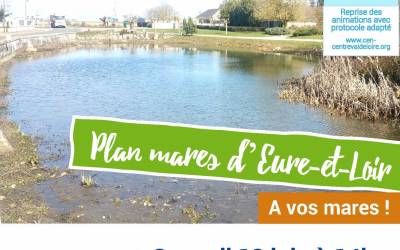 A vos mares ! La mare de Garancières-en-Beauce le 12 juin 2021 à 14h