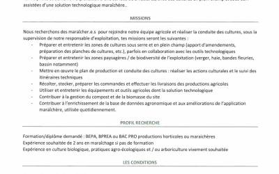 offre d'emplois offre d'emplois